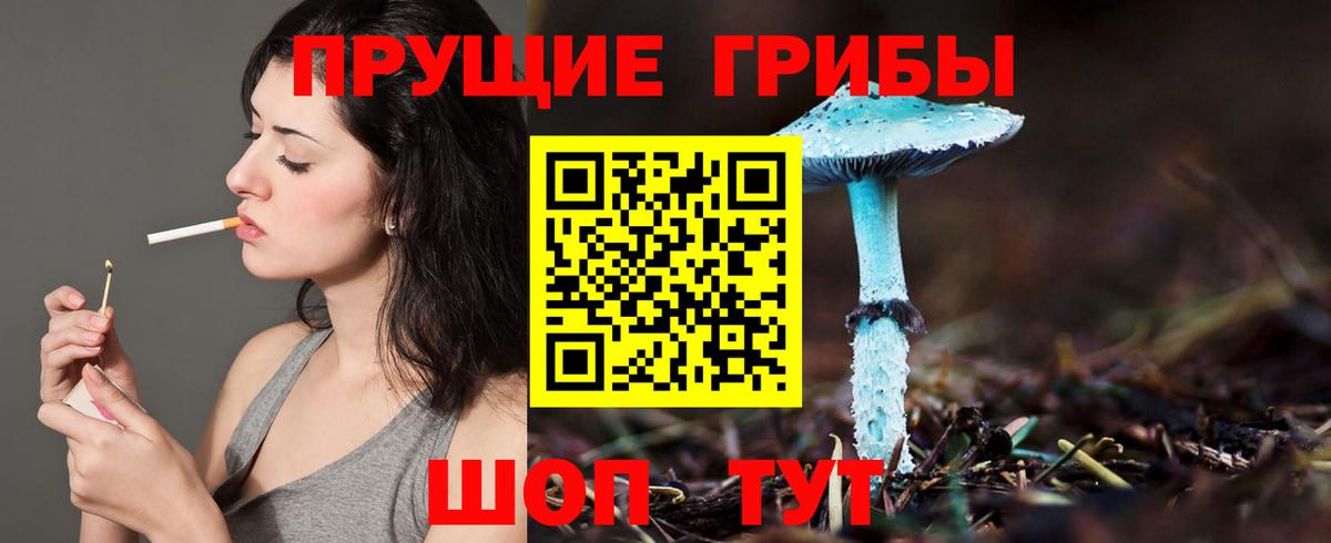 Воронеж  Псилоцибиновые грибы Psilocybe  Псилоцибиновые грибы Cubensis  где купить наркоту  Вход с VPN 